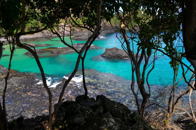 baia dos porcos, water, turquoise colored, noronha, tranquility, swimming pool, sea, dolphin, beauty in nature, tranquil scene, beach, idyllic, fernando de noronha