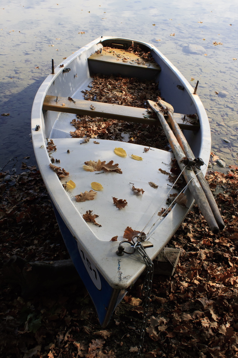 land, day, leaves, nautical vessel, no people, field, outdoors, fall foliage, nature, transportation, container, indulgence, leaf, chocolate, metal, autumn