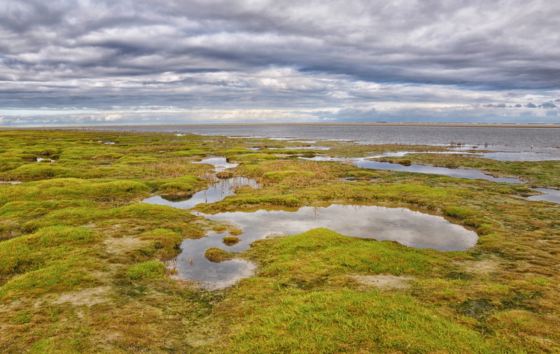 day, beach, nature, cloud - sky, island, water, landscape, netherlands, 4K, rest, scenics - nature, sky, grass, plant, tranquility, ebb, north sea, environment