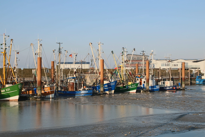 transportation, reflection, copy space, harbor, port, no people, wooden post, sky, sailboat, pole, water, north sea, clear sky, sea, fishing vessel, fishing boat