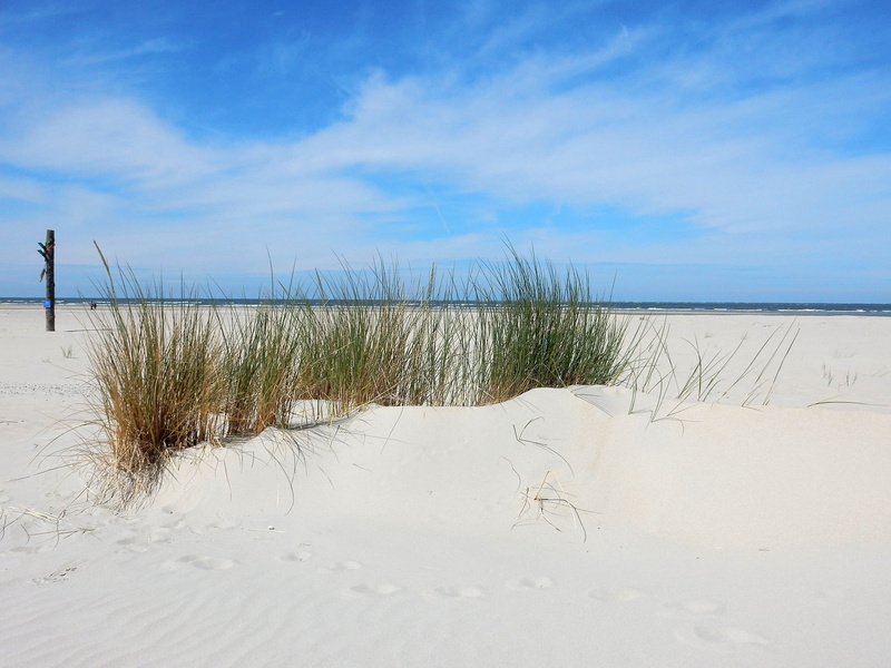 national park, day, no people, tranquil scene, horizon over water, blue, sky, land, 1080P, sea, sand beach, Island, sand, beauty in nature, marram grass