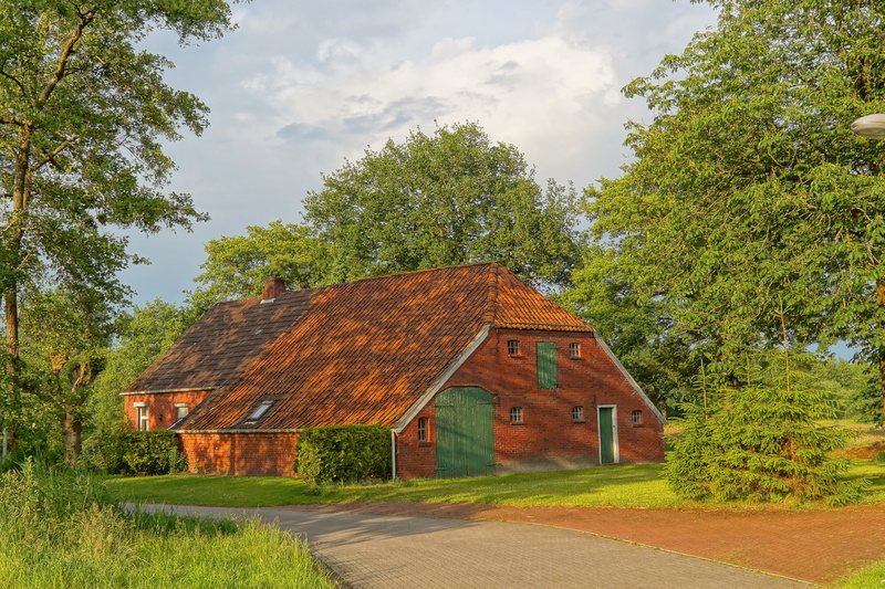 building exterior, architecture, barn, 5K, plant, house, grass, rural Scene, no people, brown, trees, tree, old house, residence, building, nature, land