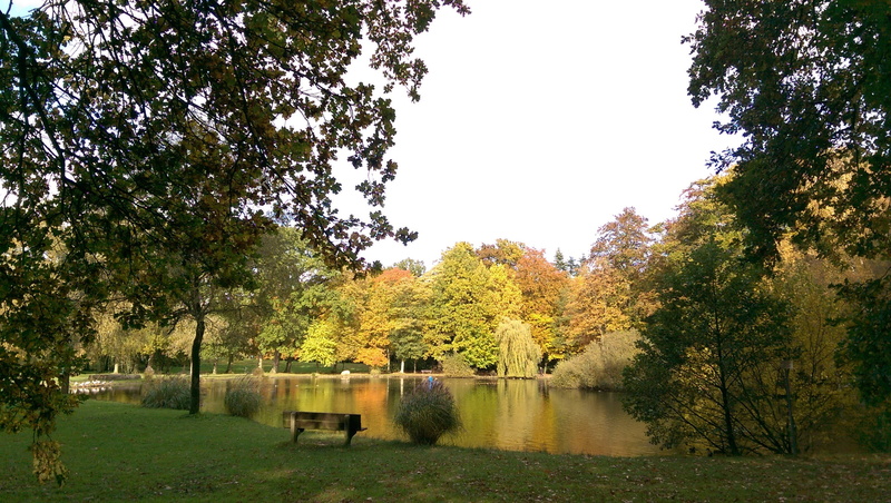 plant, autumn, seat, tranquility, green color, change, growth, outdoors, sky, day, park, 2K, lake, water, east frisia, tranquil scene, tree, scenics - nature