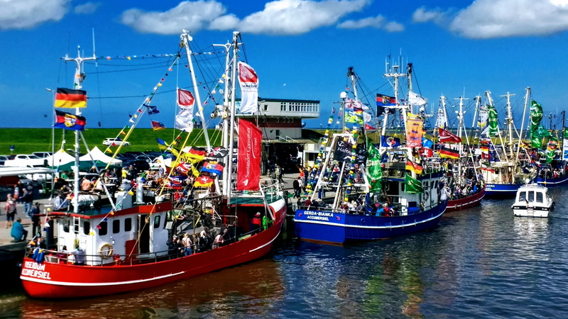 port, sailboat, dornumersiel, 4K, day, ship, passenger craft, mode of transportation, moored, fishing industry, city, water, boat, north sea, fishing boat