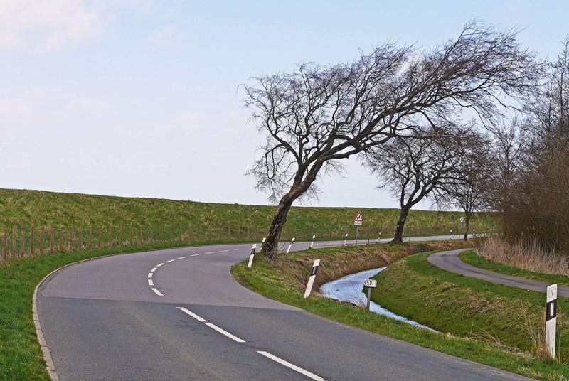 north sea, winding road, marking, Dike, drainage ditch, dividing line, coastal region, ditch, tree, transportation, curve, outdoors, sky, north sea coast