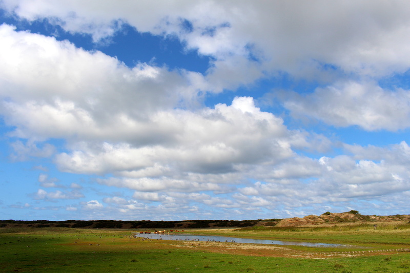 scenic, blue, island, north sea, dune, day, clouds, outdoors, background, cloud - sky, nature, vacations, tranquility, tranquil scene, idyllic, nature reserve