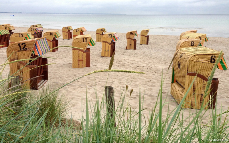 hooded beach chair, beach, scenics - nature, tourism, no People, sea, day, tranquil scene, coastline, 1080P, seat, horizon, summer, travel, seashore, grass
