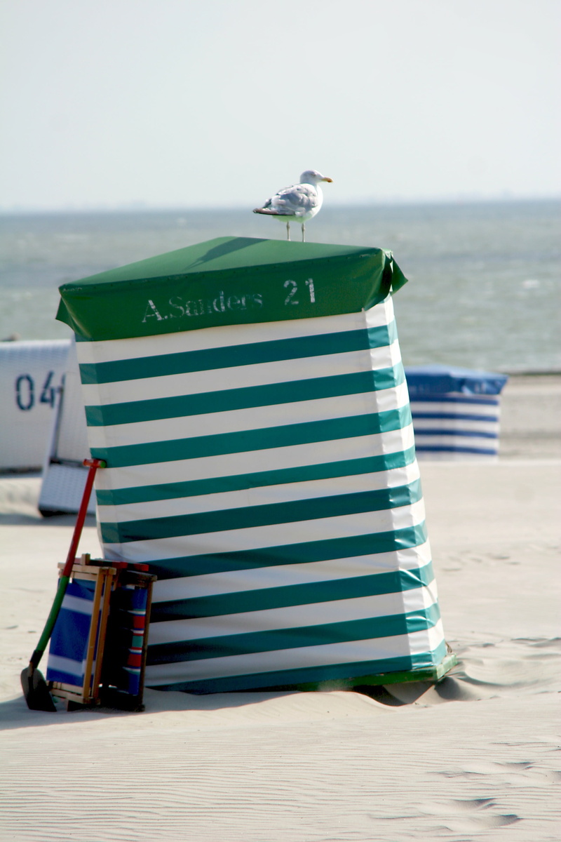 bird, no people, seagull, animal themes, striped, animal, borkum, one animal, outdoors, nature, hooded beach chair, beach tent, land, water, sky, holiday