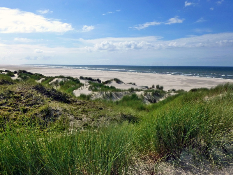 outdoors, horizon, wide, summer, borkum seeblick, horizon over water, walk on the beach, borkum, day, east frisian island, 4K, sand beach, cloud - sky