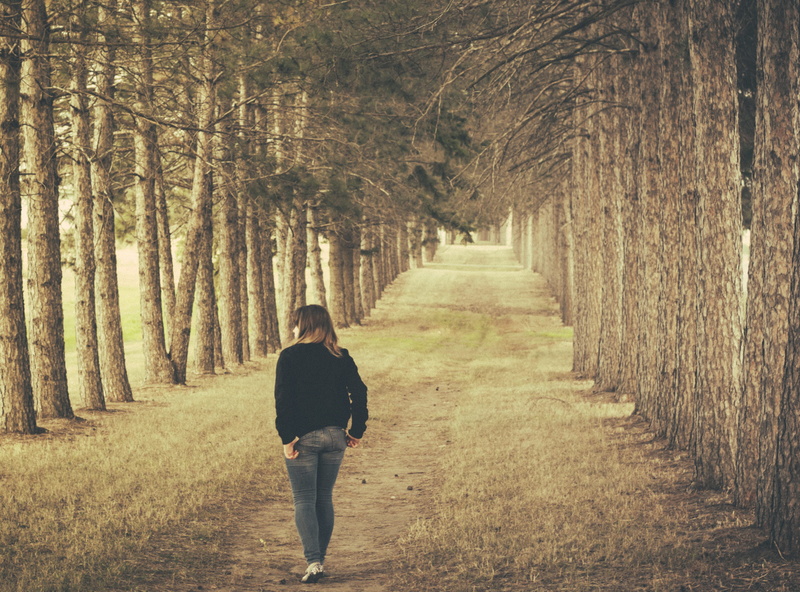 trees, leisure activity, gray, direction, leaves, lifestyles, diminishing perspective, grass, forest, 2K, brown, girl, real people, shadow, footpath, standing