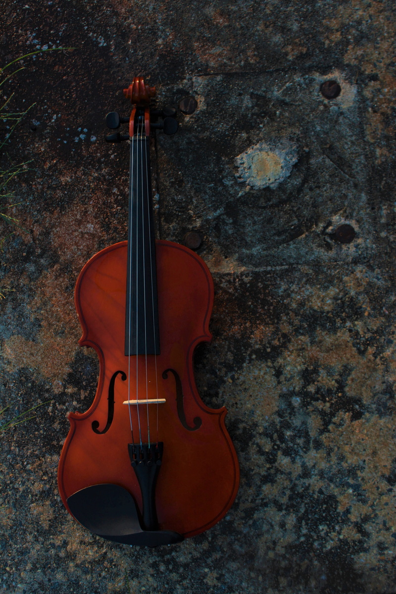 no people, viola, monarch, tote bag, arts culture and entertainment, classical music, musical equipment, bag, broken, day, maraca, leisure activities, quiver