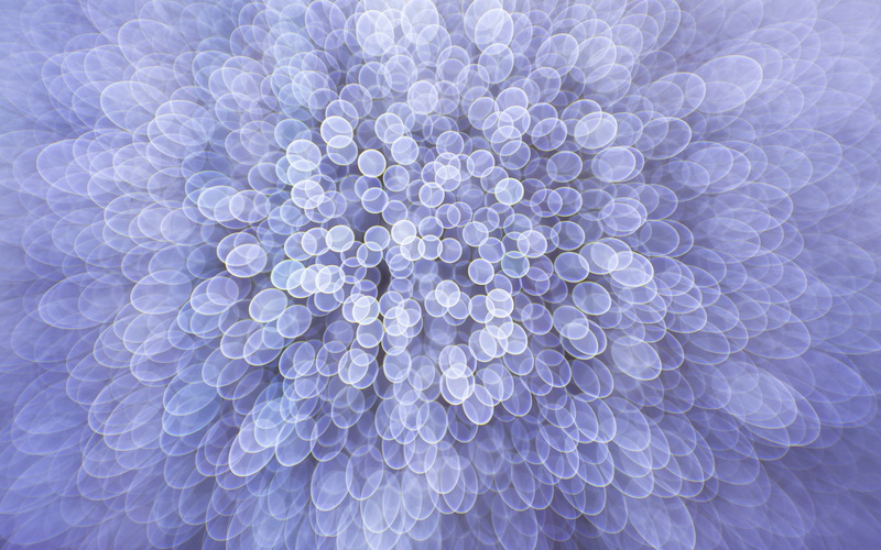 2K, digital art, abstract, fractal, circle, ellipses