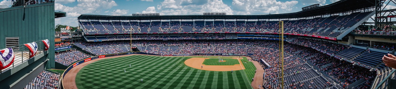 building, panorama, spring, city, high angle view, united states, people, built structure, leisure activity, building exterior, grass, baseball, sport