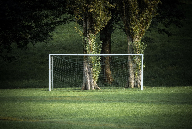 4K, Soccer Field, grass, sport, trees, green
