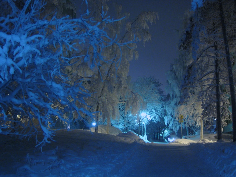 snow, illuminated, ice, no people, mountain, snow covered, architecture, frosty, night, beauty in nature, christmas, snowy tree, trees, frost, environment