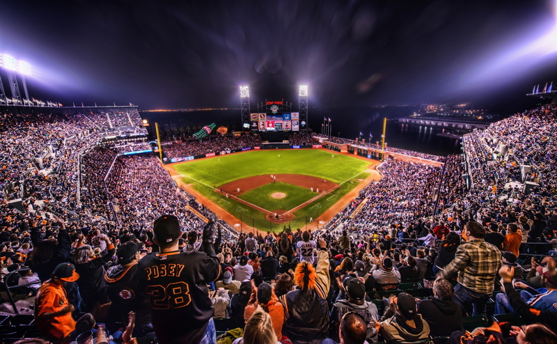 watching, brown, shirt, arena, 4K, baseball - sport, s, men, spectator, looking, playing, real people, high angle view, arts culture and entertainment