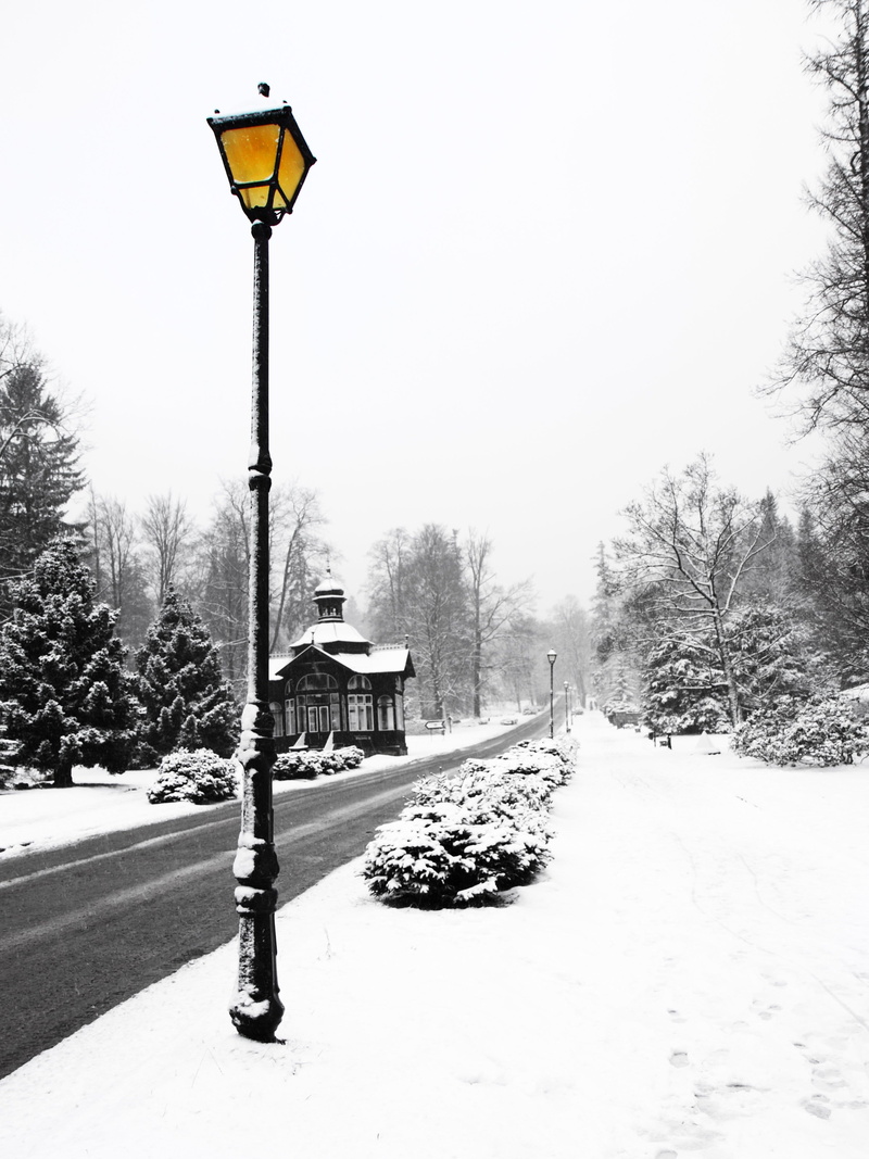 glow, romance, road, covering, post, lamp, the way forward, outdoors, day, plant, street, Architecture, street light, lantern, romantic, park, black, old