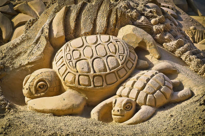art, animal, sand picture, land, one animal, beach, nature, sunlight, 4K, animal themes, build, animal shell, carving, reptile, close-up, statue, animal wildlife