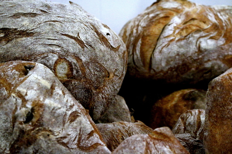 group of animals, bistro, animal body part, sourdough, bread, no people, marine, patisserie, bake, crust, food, loaves, outdoors, animals in the wild, food and drink