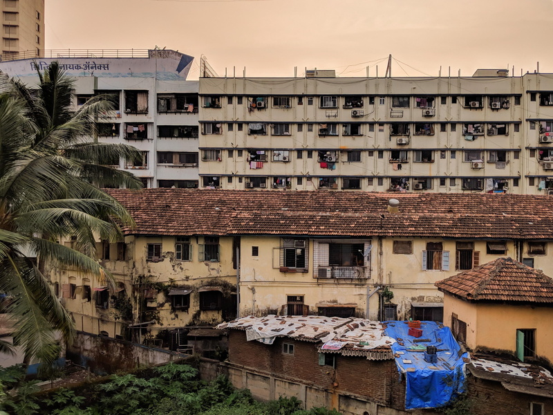 abies, metropolis, high rise, window, residential district, human settlement, slum, tree, 2K, apartment, old, no people, neighborhood, complex, house