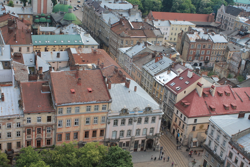 high angle view, roof, building, outdoors, market square, townscape, plant, town, community, nature, no people, lviv, 4K, tree, architecture, roof tile