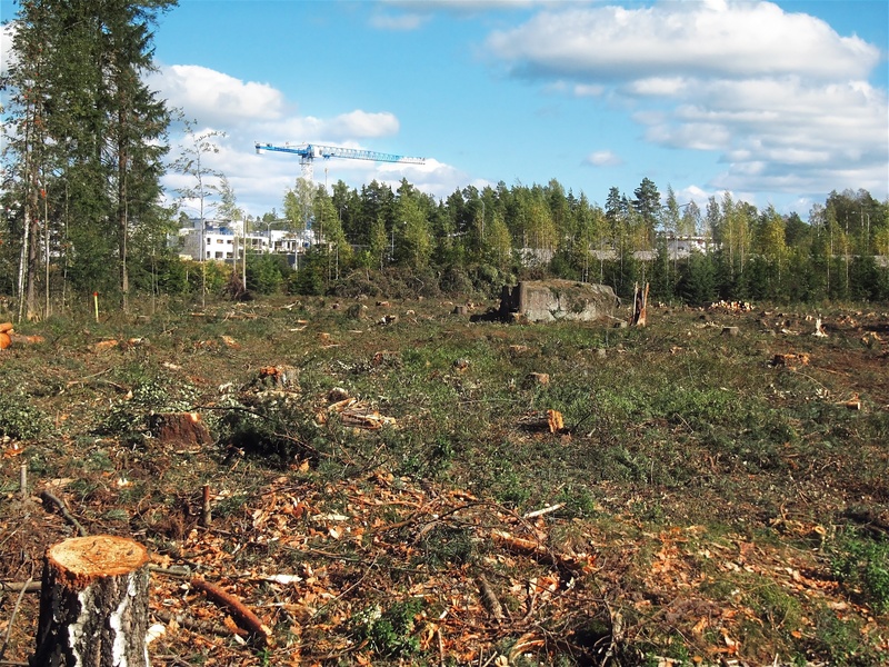 nature, residential, deforesting, cut, stumps, houses, land, outskirts, preparing, clouds, europe, outdoor, daytime, white, trees, clearance, sky, growth
