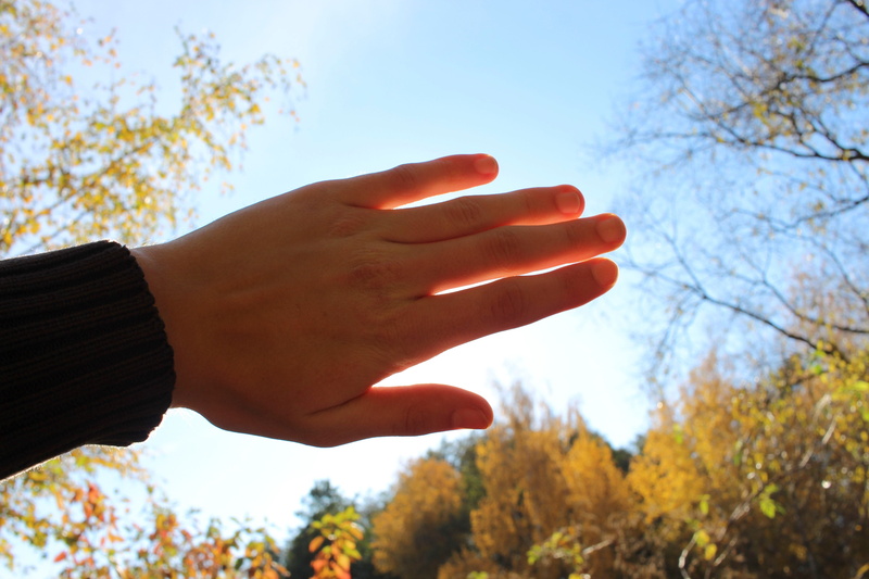 sunshine, summer, trees, real people, human limb, perspective, change, outdoors, human hand, blue, body part, tree, ego, finger, weather, spring, human finger