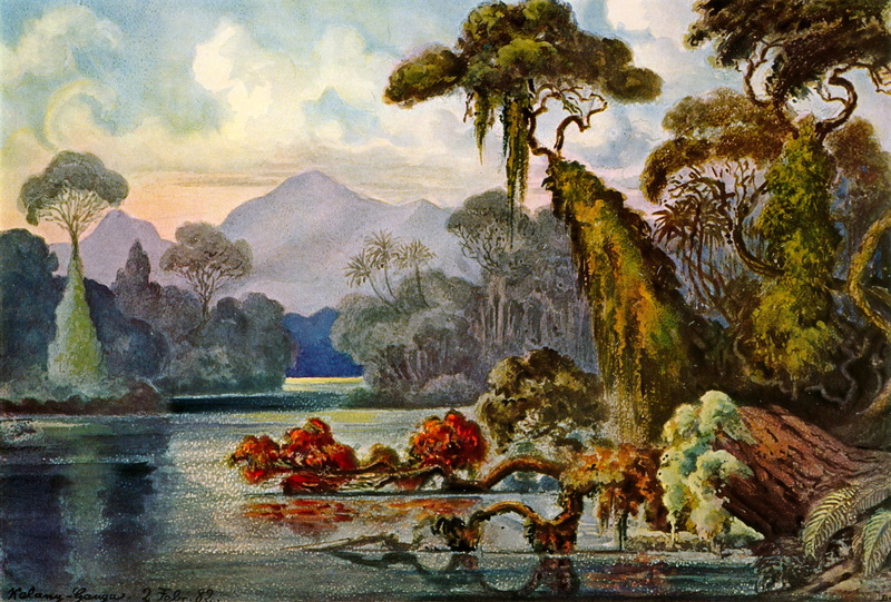 water, watercolor Painting, outdoors, cultures, ceylon, art, old, asia, old-fashioned, river, lithography, scenics, pond, forest, ernst haeckel, nature
