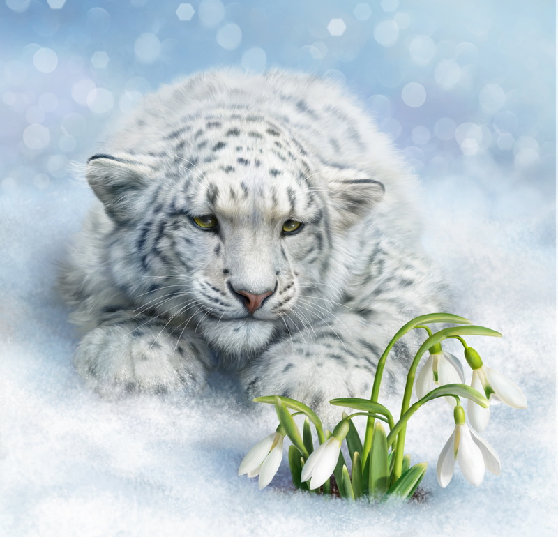 2K, snow, Snow leopard, art, mood, IRBIS, wild cat, flowers, snowdrops