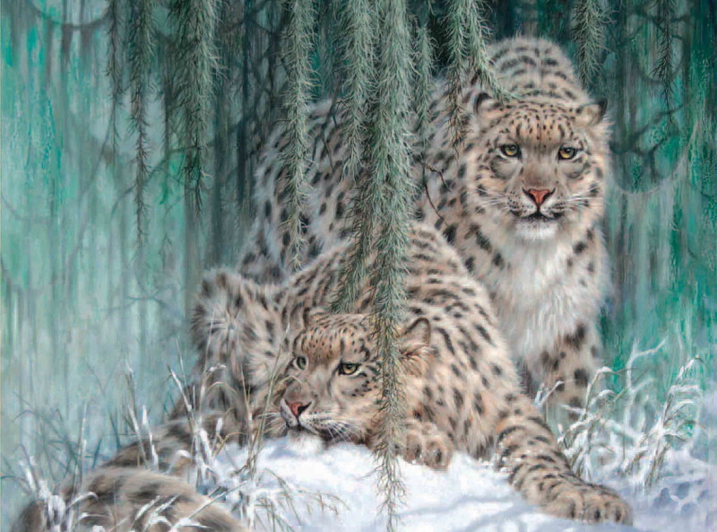 wildcat - Animal, animals In The Wild, animal, animal themes, wildlife, Larry Fanning, vertebrate, wilderness Area, outdoors, lynx, two animals, undomesticated Cat