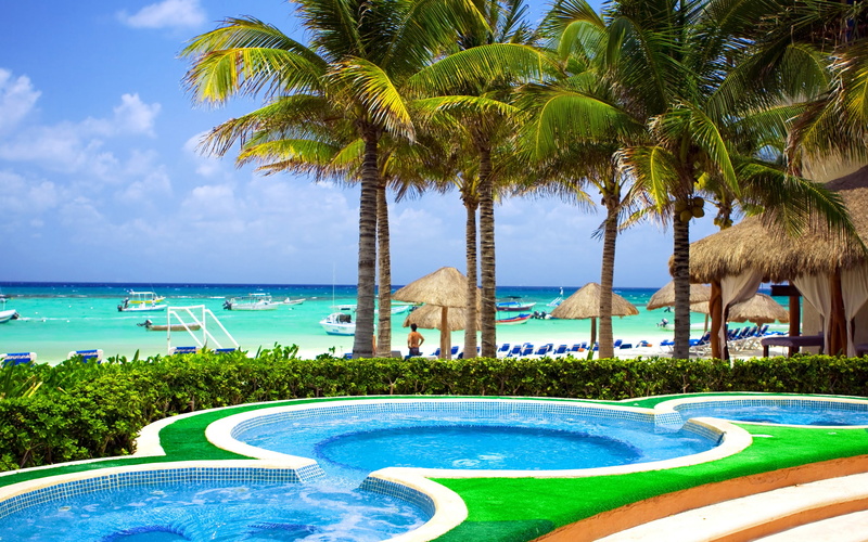 coconut, Palms, Tropical, green, leaf, Caribbean, Pool, Coast, Sea, 2K, Beach, trees