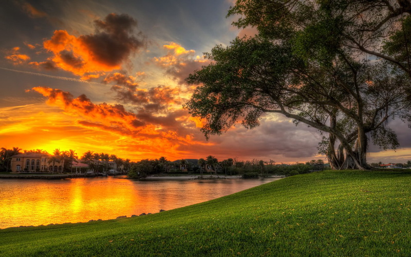 reflection, sunset, villa, coast, hd, palm, desktop, beautiful, water, green, 1080P, clouds, tree, meadow, red, lake