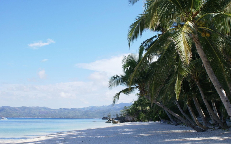 sand, 1080P, trees, tree, ocean, coconut, beaches, along, near, palm, beach, 1920x1200, coast