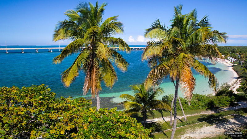 key, florida, 2K, state, bahia, honda, park, North America