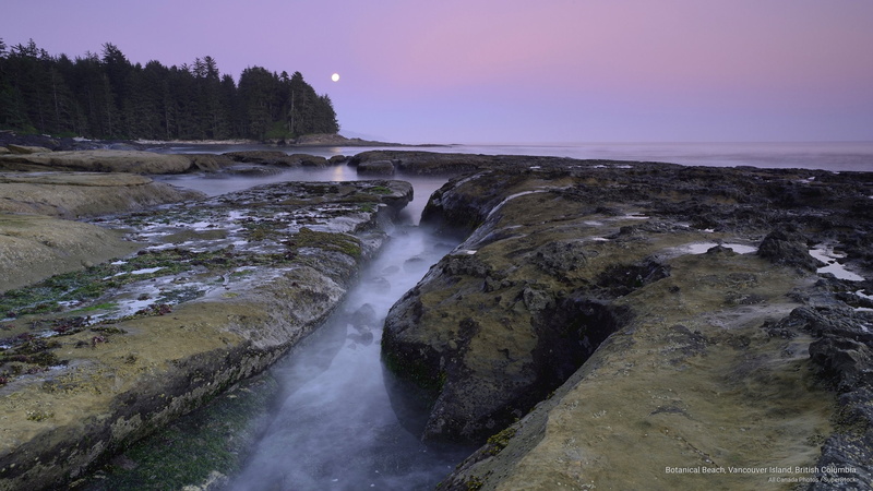 botanical, vancouver, british, beach, island, 2K, North America, columbia