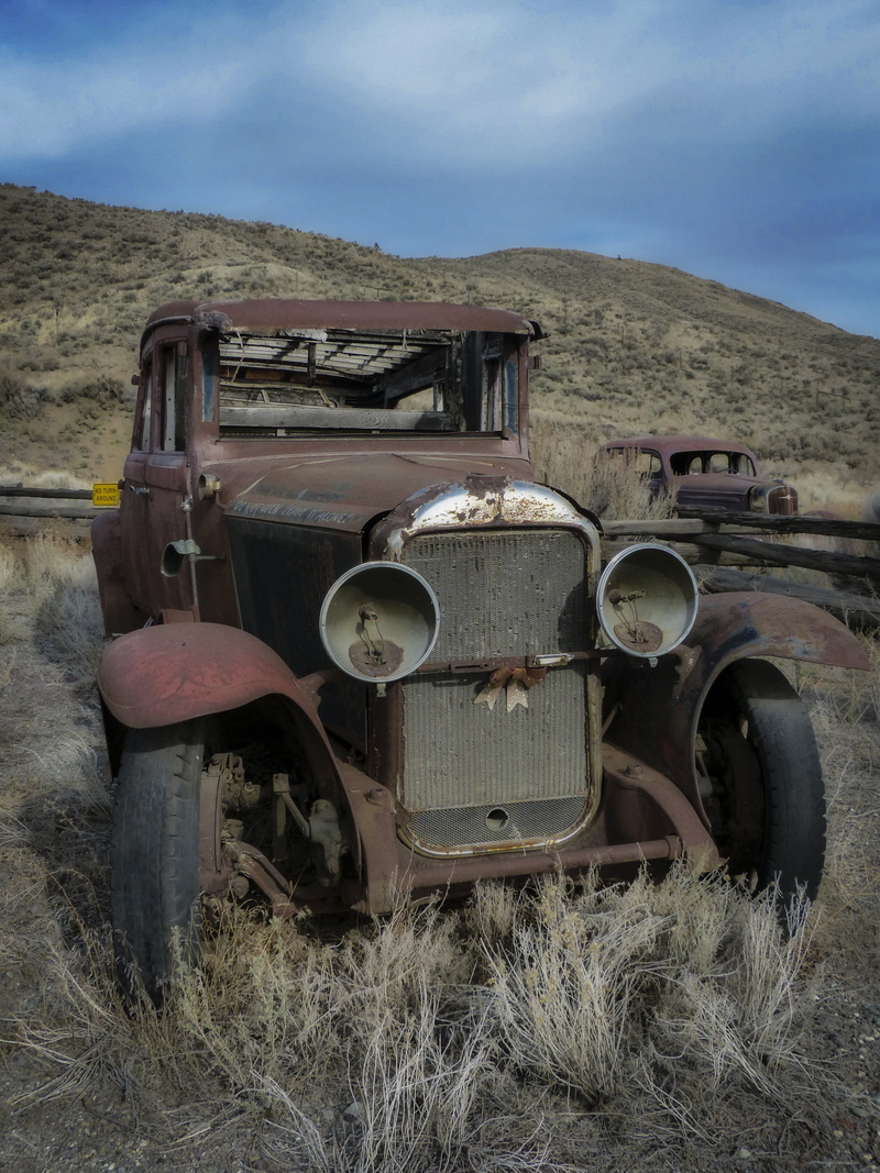 ancient, retro Styled, antique, plant, vehicle, historic vehicle, landscape, mode of transportation, deterioration, nostalgia, land, brown, old-fashioned