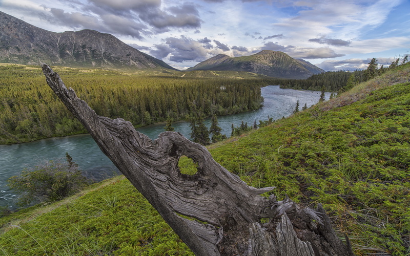 takhini, territory, canada, tablets, hd, landscape, mobile, river, yukon, phones, best, 4K, valley, nature, desktop