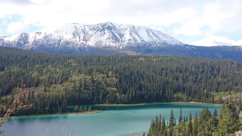territory, beauty In Nature, scenics - nature, public domain, photos, lake, tree, green Color, outdoors, cold temperature, tranquil Scene, plant, scenics