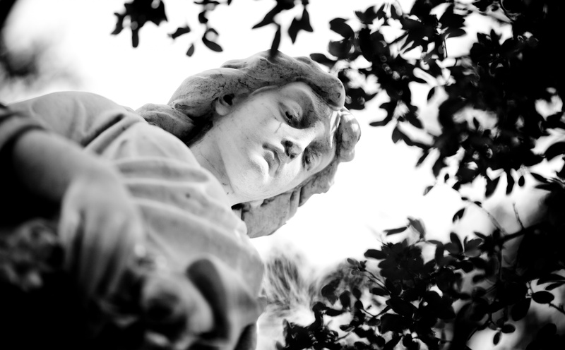 tree, portrait, united states, Sculpture, Glenwood Cemetery, nature, cemetery, quietly, one person, male, Texas, 5K, Black and White, real people, lifestyles