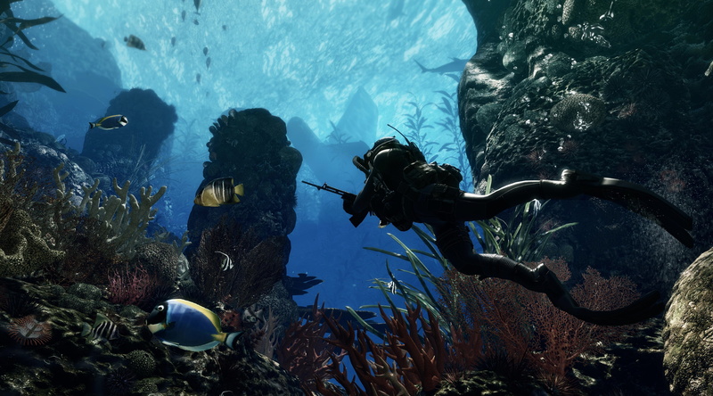 undersea, swimming, underwater, deep, call, sea life, scuba diving, animal themes, animal wildlife, fish, rock - object, Call Of Duty, sea, rock, aquatic sport