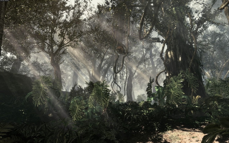 call of duty ghosts, trunk, tree trunk, no people, sunlight, outdoors, beauty in nature, tranquility, plant part, land, 1080P, branch, day, tranquil scene