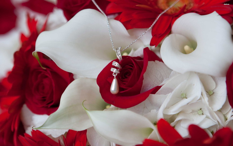 wallpappers, on, photography, Rose, necklace, 2880x1800, HD, calla, 2K, Flowers