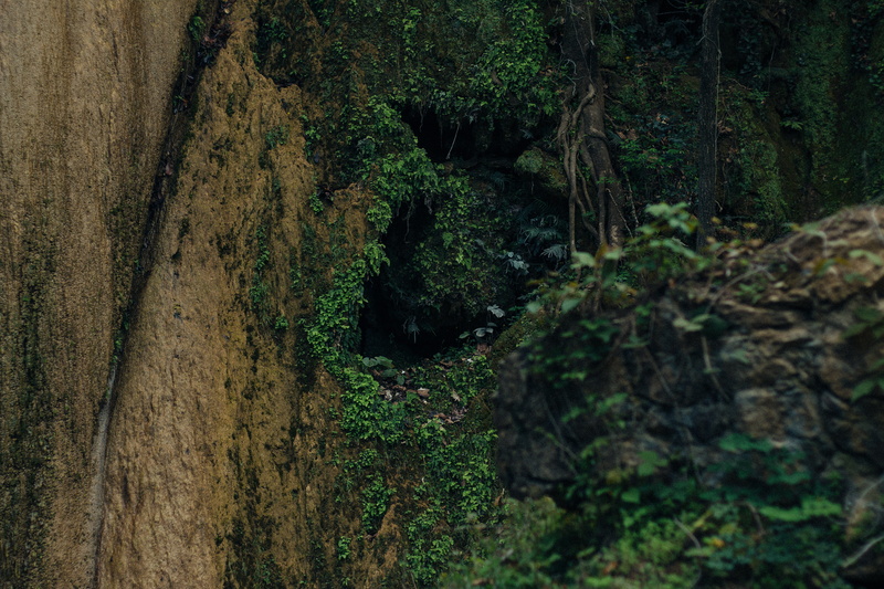 scenics - nature, tree, 5K, land, solid, rock, green color, non-urban scene, beauty in nature, cola de caballo, wallpapper, outdoors, trees, footpath