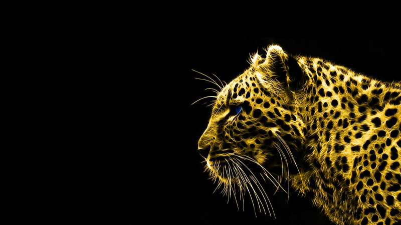 simple background, 1080P, animals, leopard, digital art, black background, Fractalius, leopard (animal)