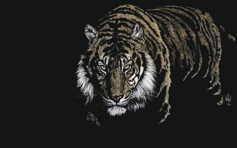 animals, digital art, yellow eyes, tiger, big cats, 1080P