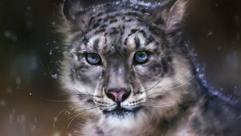portrait, artwork, vertebrate, close-up, eye, snow leopards, pets, digital art, no people, 1080P, whisker, feline, domestic animals, animal body part
