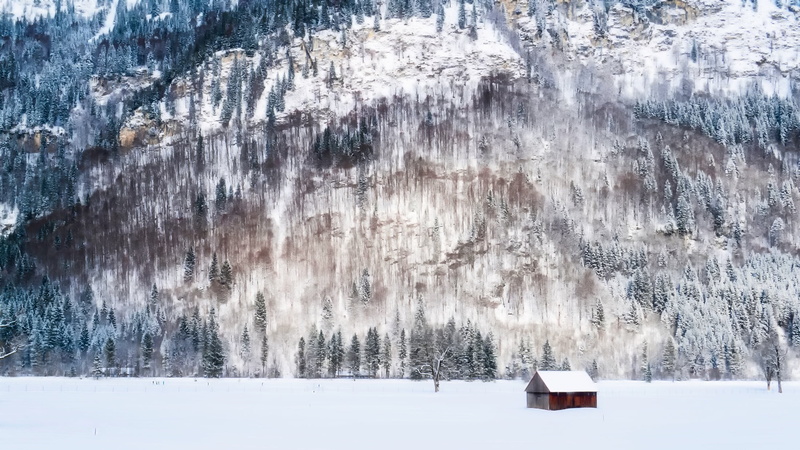 scenic, scenics, beautiful, panorama, germany, frozen, trees, brown, country, non-urban scene, cold temperature, 1080P, house, countryside, plant, coniferous tree