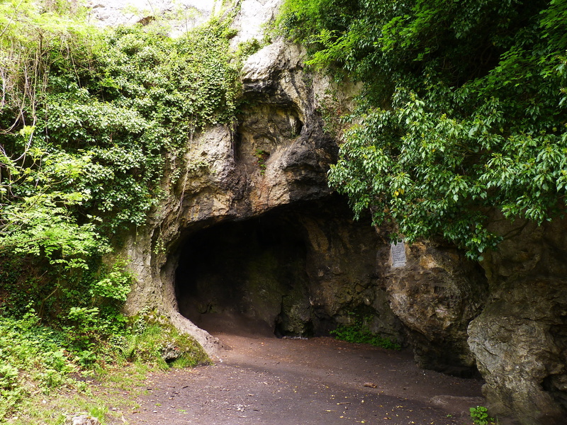 forest, transportation, cliff, rock formation, no people, the way forward, mountain, scenics, plant, landscape, tourism, solid, grotto, growth, rock, outdoors