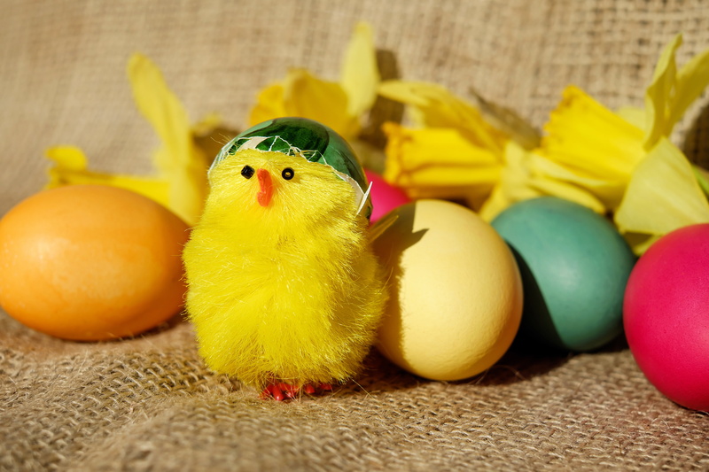easter eggs, multi colored, celebration, cute, easter egg, indoors, color, animal, egg, still life, spring, yellow, chicks, food, toy, art and craft, easter