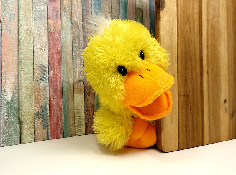 brown, table, creativity, art and craft, representation, teddy bear, stuffed toy, yellow, toy animal, toy, bird, soft toy, plush, softness, duck, 4K, home interior